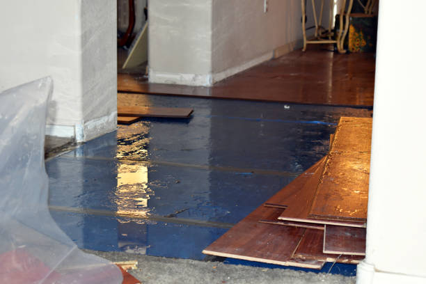 Professional Water Damage Restoration technician working in Alloy, WV